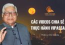 CÁC VIDEOS CHIA SẺ VỀ THỰC HÀNH VIPASSANA – S.N. GOENKA