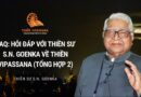 FAQ: HỎI ĐÁP VỚI THIỀN SƯ S.N. GOENKA VỀ THIỀN VIPASSANA (TỔNG HỢP 2)