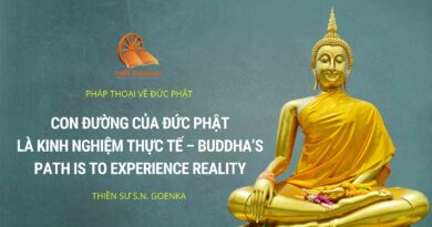 CON ĐƯỜNG CỦA ĐỨC PHẬT LÀ KINH NGHIỆM THỰC TẾ - BUDDHA'S PATH IS TO EXPERIENCE REALITY