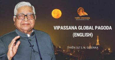 VIDEOS: VIPASSANA GLOBAL PAGODA (ENGLISH)