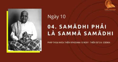 04. SAMĀDHI PHẢI LÀ SAMMĀ SAMĀDHI - NGÀY 10