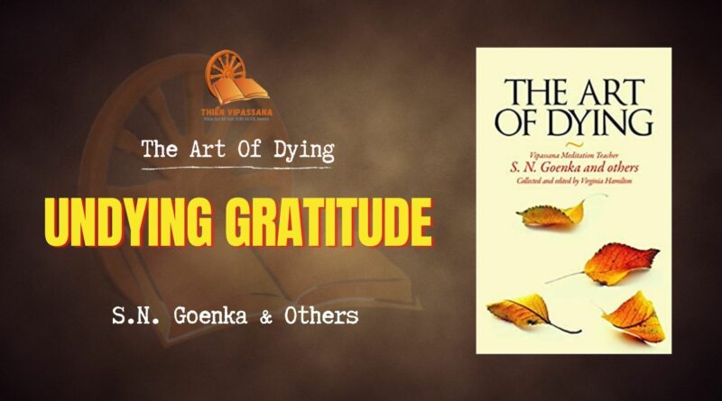 THE ART OF DYING - UNDYING GRATITUDE
