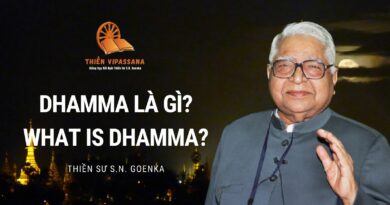 DHAMMA LÀ GÌ? WHAT IS DHAMMA? THIỀN SƯ S.N. GOENKA