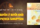 NGHỆ THUẬT CHẾT – NGUYÊN LÝ DUYÊN KHỞI – PAṬICCA SAMUPPĀDA