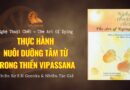 THỰC HÀNH NUÔI DƯỠNG TÂM TỪ TRONG THIỀN VIPASSANA