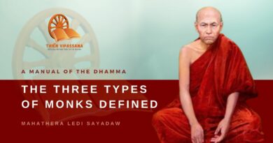 A MANUAL OF THE DHAMMA - THE THREE TYPES OF MONKS DEFINED - LEDI SAYADAW