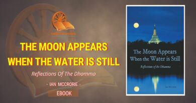 THE MOON APPEARS WHEN THE WATER IS STILL - REFLECTIONS OF THE DHAMMA