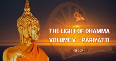 THE LIGHT OF DHAMMA VOLUME V - PARIYATTI