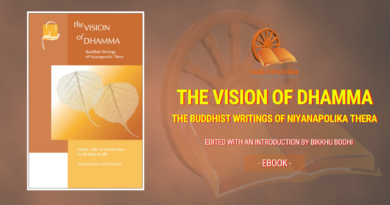 THE VISION OF DHAMMA - THE BUDDHIST WRITINGS OF NIYANAPOLIKA THERA